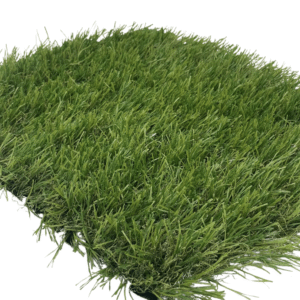 Tampa 40mm Artificial Grass